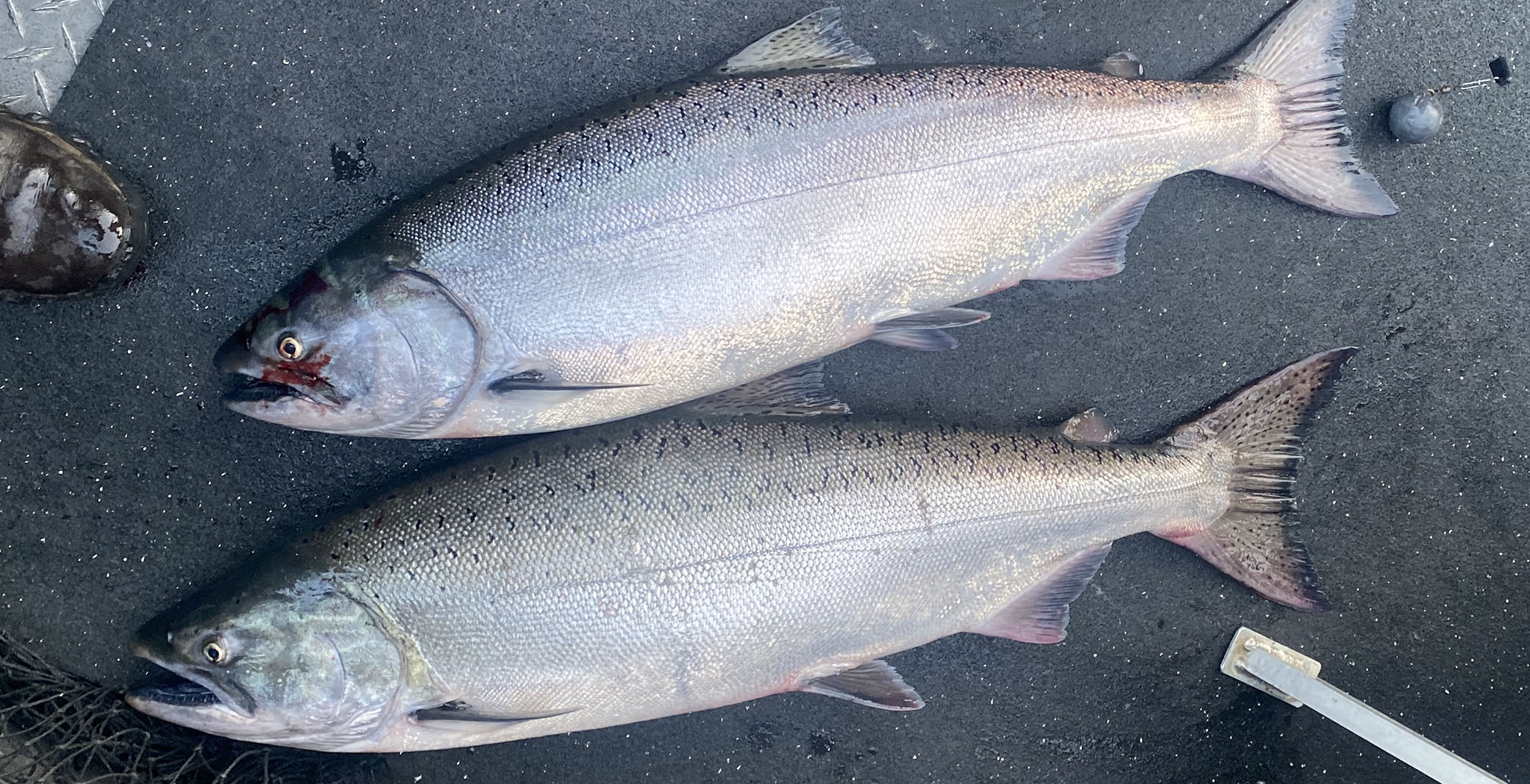 Tillamook Salmon Fishing Charters