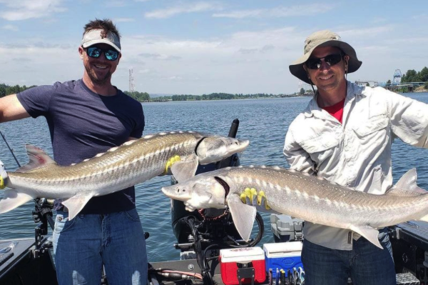 Columbia River Sturgeon Fishing Charter