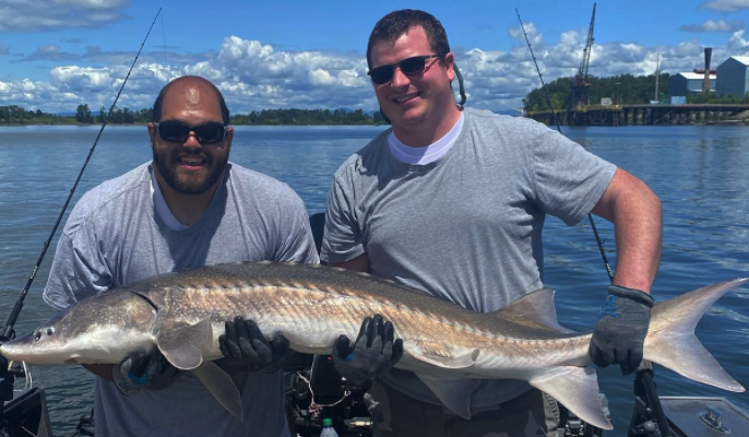 Willamette River Sturgeon Fishing