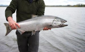 Best Times and Techniques to Catch Salmon Near Portland