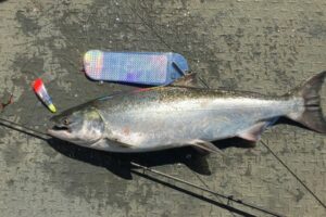 Best Times and Techniques to Catch Salmon Near Portland