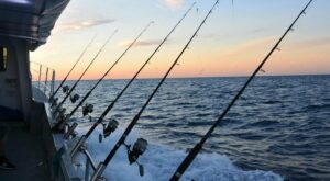 Portland Area Fishing Charters