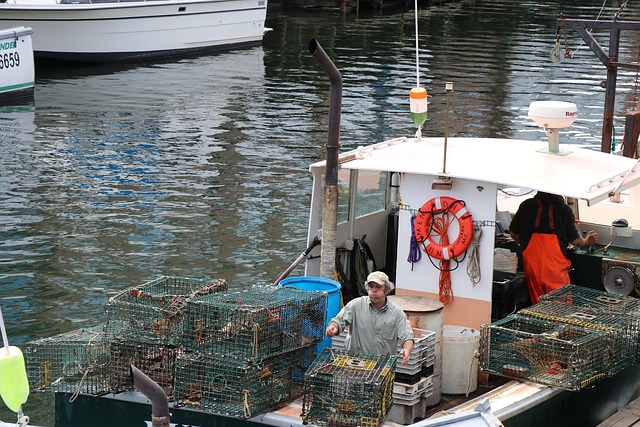 A Quick Guide to Portland Area Fishing Charters