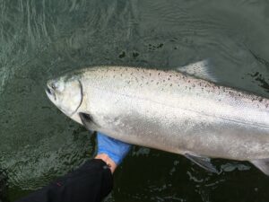 Salmon Fishing in the Portland Area