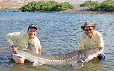 The Ultimate Guide to Columbia River Sturgeon Fishing 2022