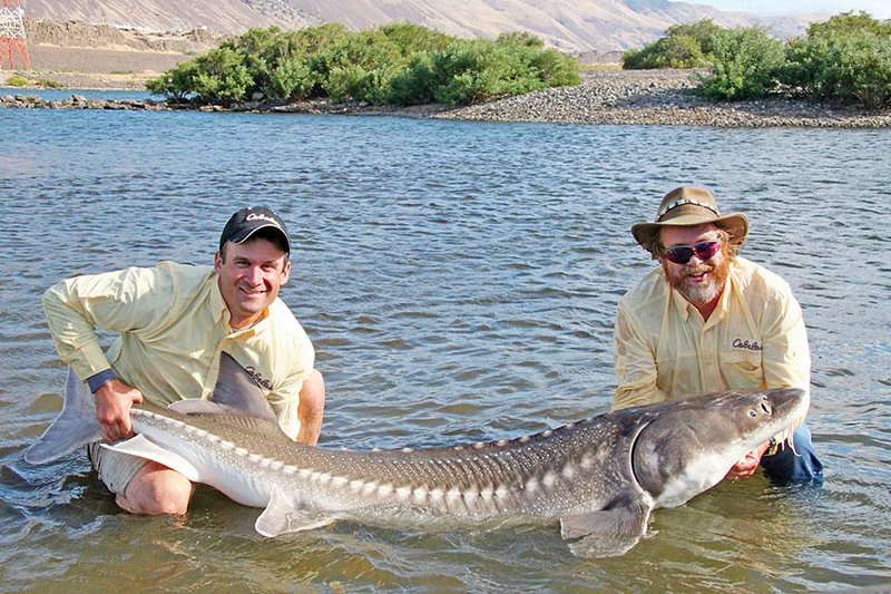 Columbia River Sturgeon Fishing