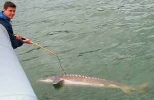 Columbia River Sturgeon Fishing