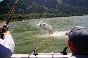 Catching Salmon in Astoria Oregon