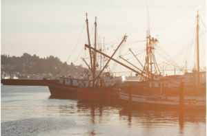 Astoria Oregon Fishing Regulations