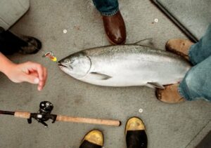 Columbia River Steelhead Fishing