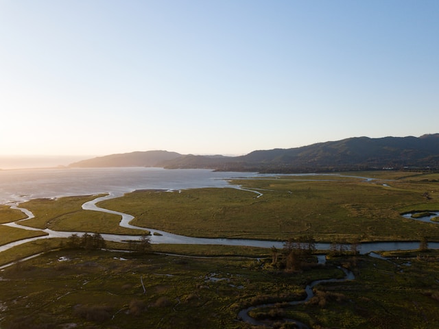 Tillamook Bay Fishing Regulations