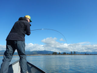 Fish to Catch in the Tillamook Bay