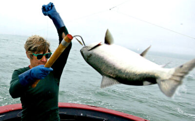 Effective Strategies to Land King Salmon in the Columbia River