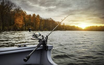 The Best Insider Tips for Fishing in Willamette River