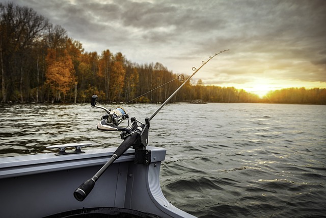 The Best Insider Tips for Fishing in Willamette River