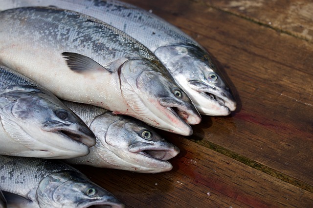 Essential Salmon Fishing Tactics in Willamette Falls