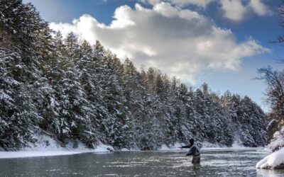 Insider Tips on Winter Fishing in Portland