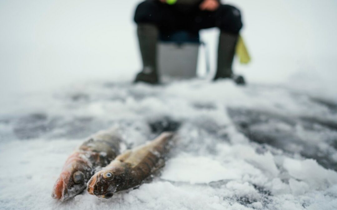 winter fishing in Portland