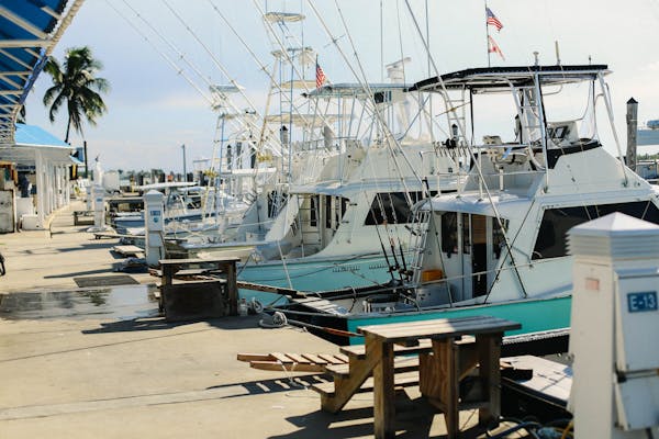 fishing charter