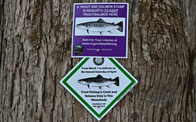 2025 Portland Fishing Regulations