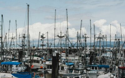 Comparing Bank Fishing vs. Charter Fishing Around Portland