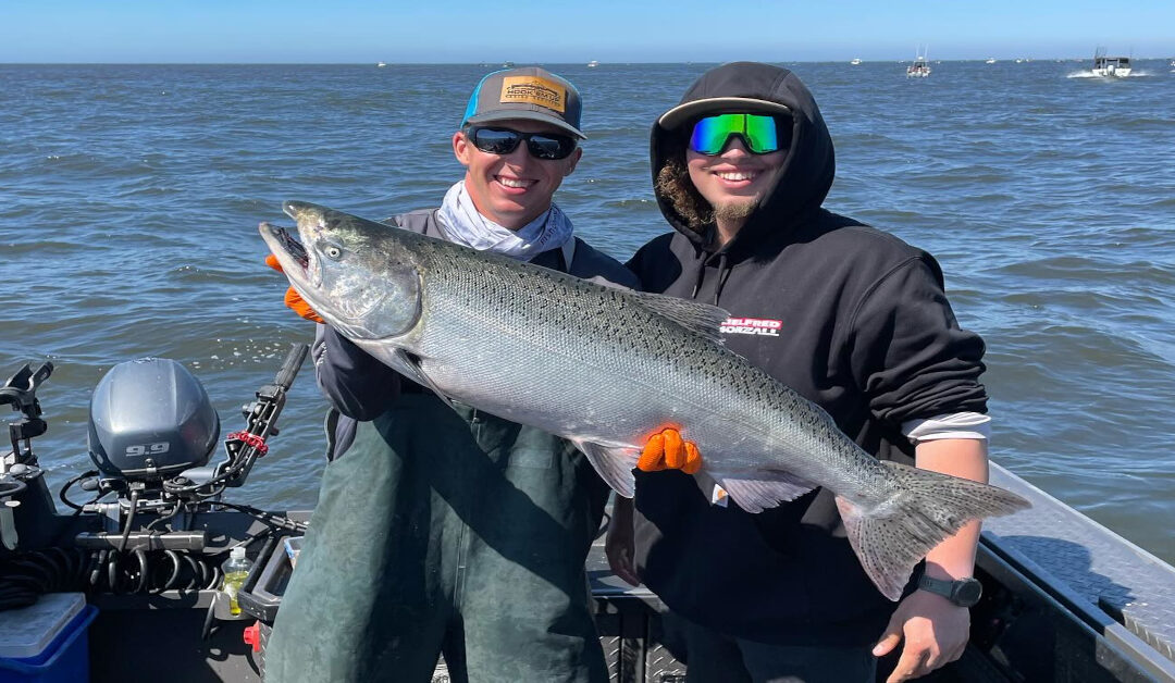 Tips for Catching Trophy Chinook in the Willamette River
